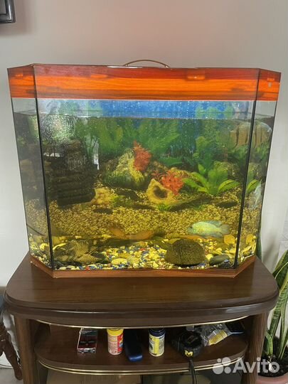 Аквариум