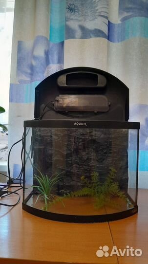 Аквариум