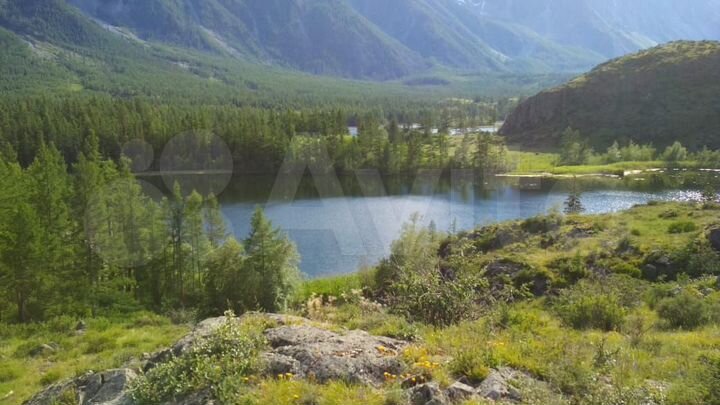 Участок 35 га (СНТ, ДНП)