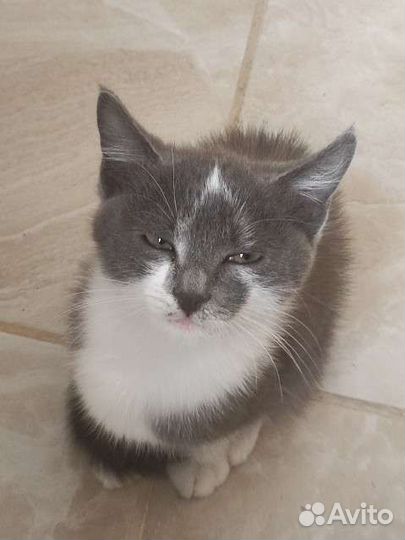 Ласковый малыш