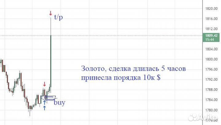Обучение инвестированию, тpeйдингу