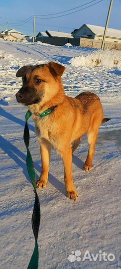 Девочка 3,5 мес