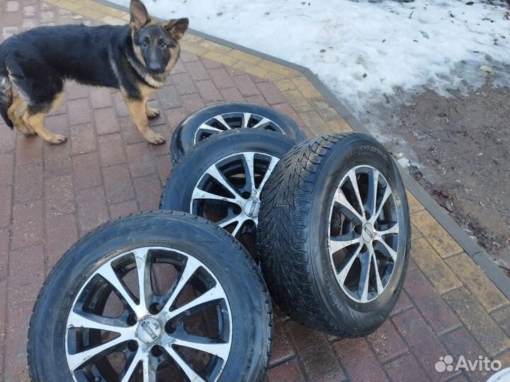 Nokian Tyres Hakkapeliitta R2 195/65 R15 95R