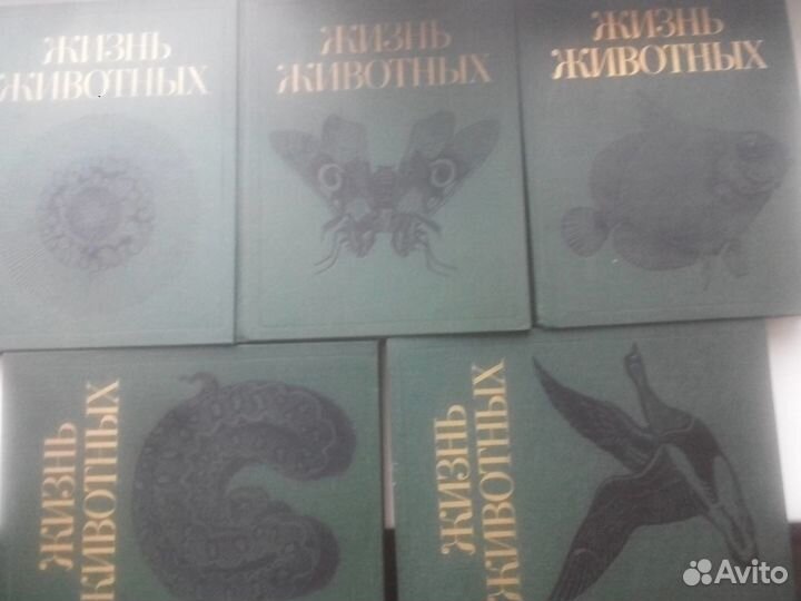 Жизнь животных