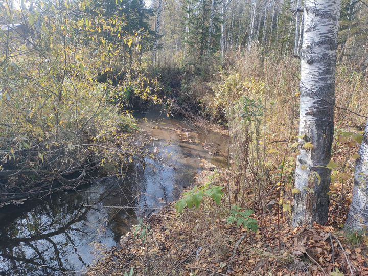 Участок 21 сот. (СНТ, ДНП)