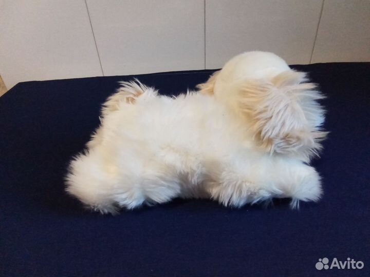 Игрушка для Дарьи