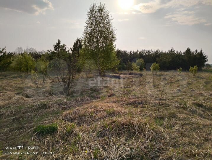 Участок 15,1 сот. (личное подсобное хозяйство (лпх))