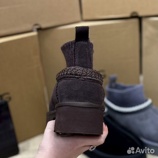 Ugg Tazz с носком оригинал