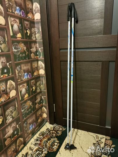 Лыжные палки Spine 145см