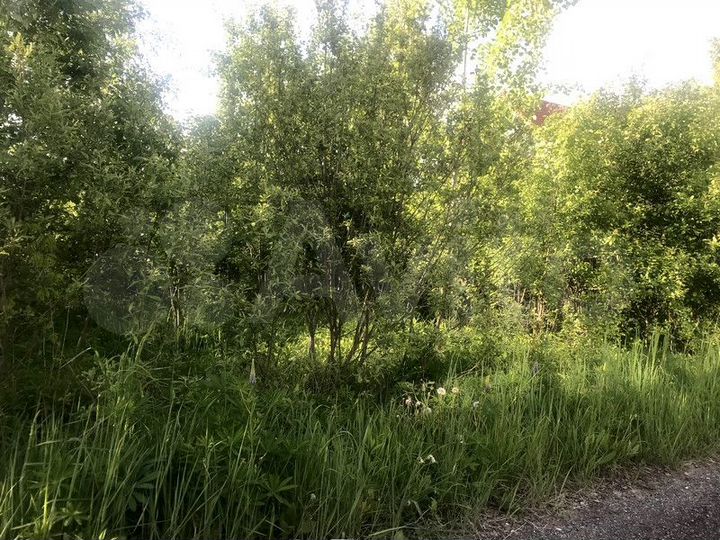 Участок 9,2 сот. (СНТ, ДНП)