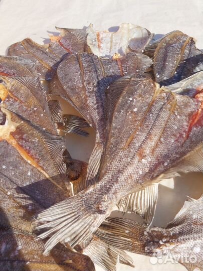 Вяленая камбала премиум класса