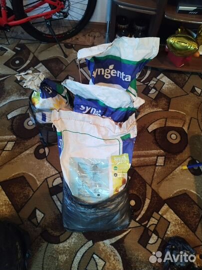 Семена подсолнечника под экспресс