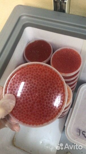 Икра красная