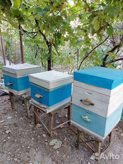 Продам ульи для пчел