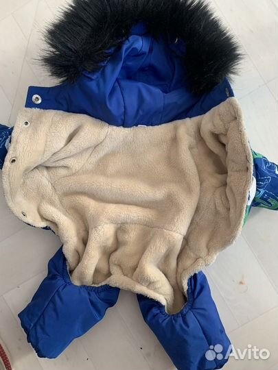 Зимняя одежда для маленьких собак