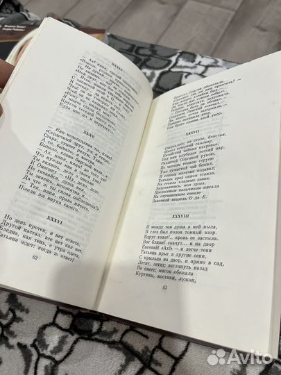 Евгений Онегин. Поэмы
