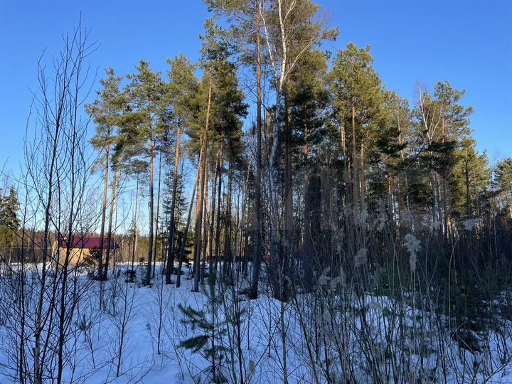 Участок 10 сот. (СНТ, ДНП)