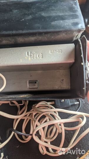 Вспышка Чайка