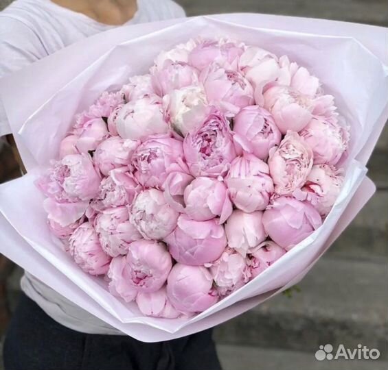 Пионы цветы букеты