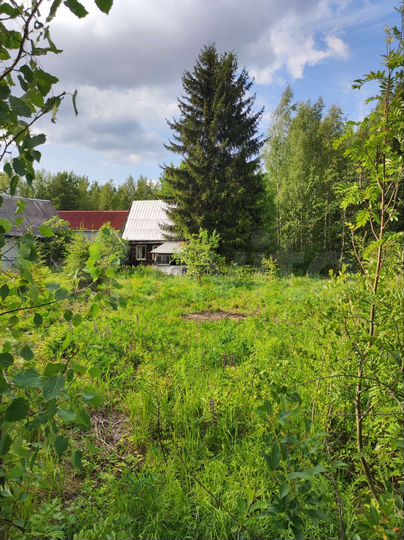 Участок 6,2 сот. (СНТ, ДНП)