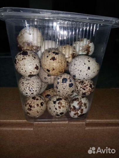 Яйца перепелиные