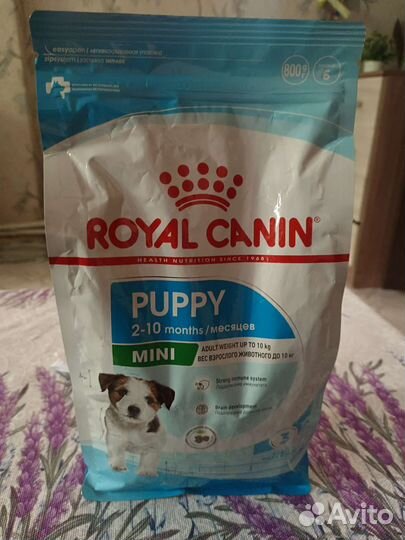 Корм для собак