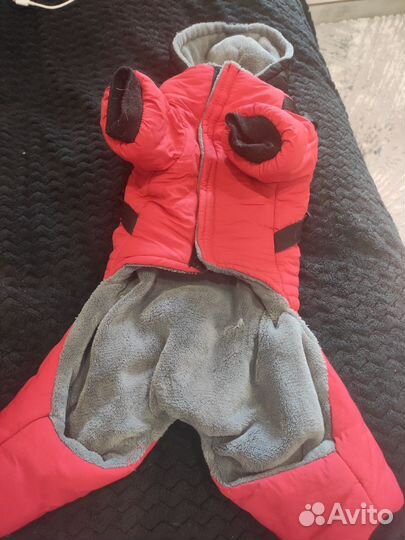 Одежда для маленьких собак