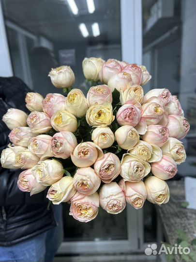 Розы эквадор, букет 51 роза, 101роза пионы