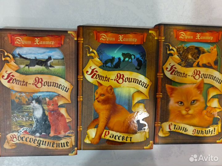 Книги коты воители
