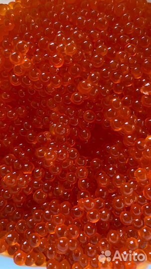 Икра горбуши