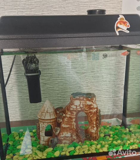 Аквариум со всем содержимым