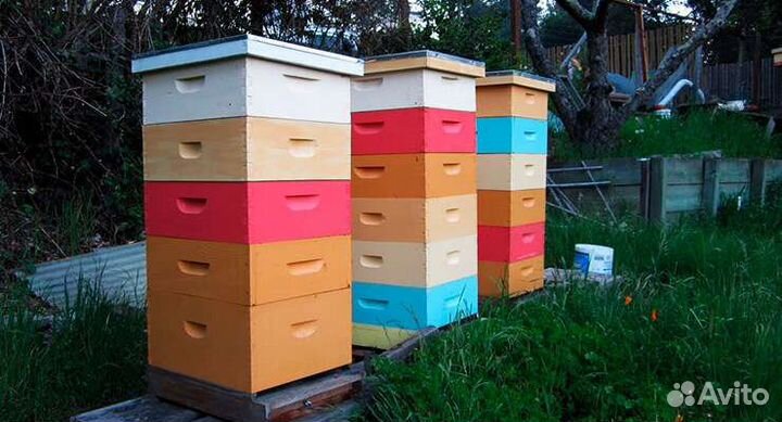 Пчелиные ульи