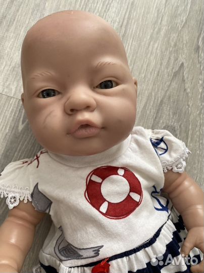 Кукоа paola reina