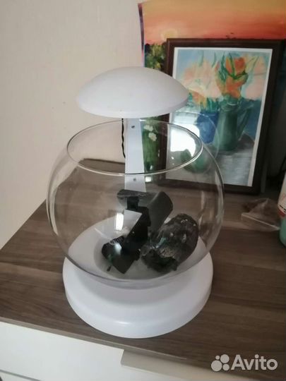 Аквариум Cascade Tetra