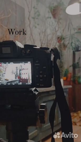 Видеограф/ видеомонтаж