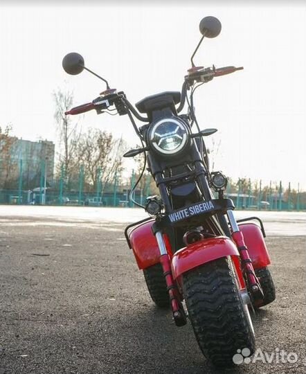 White Siberia Ikra 5000W Red