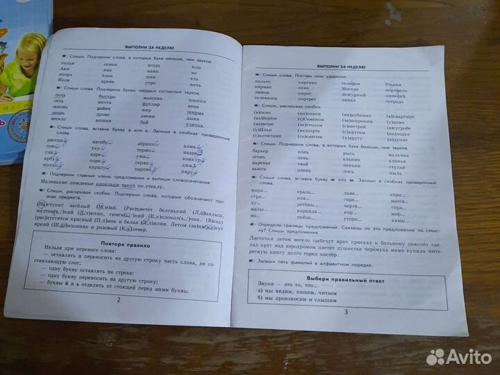 Рабочая тетрадь 2 класс русский язык