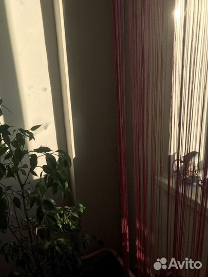 Шторы-кисти розовые