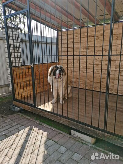 Вольер для собак уличный