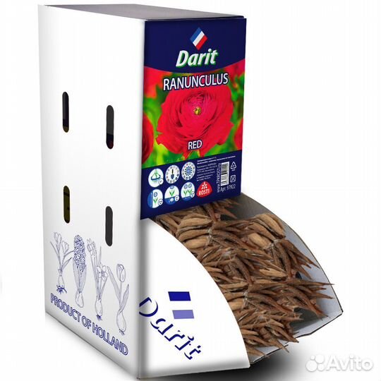 Лютик (Ранункулюс) Авив Красный Ranunculus Aviv Ro