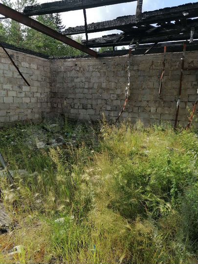 Торговая площадь, 230 м²