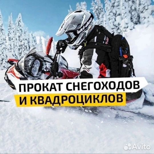 Прокат-аренда квадроциклов и снегоходов