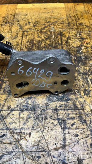 Радиатор масляный Volkswagen Passat B6