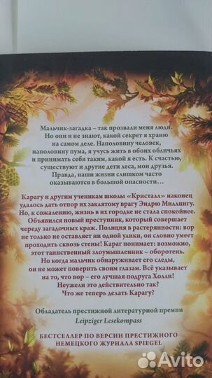 Книга Дети Леса. Тайна Холли