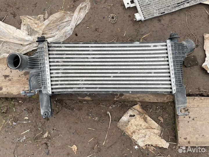 Интеркуллер Nissan Navara