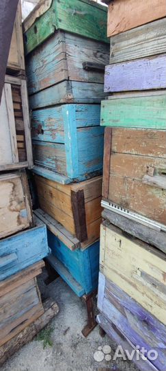 Ульи пчелиные и инвентарь