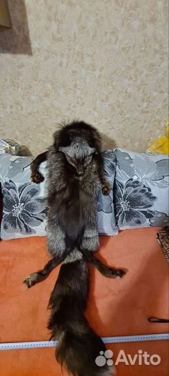 Меховая горжетка-тушка