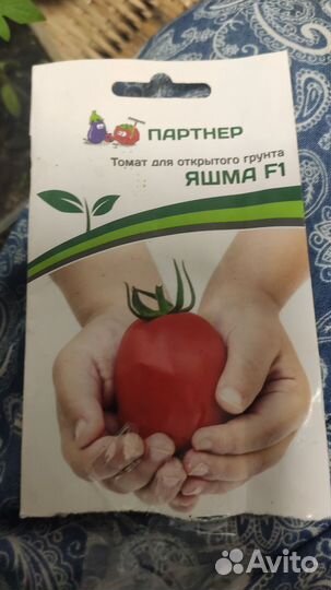 Рассада перец, томат, острый перец комнатный