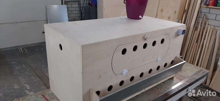 Брудер для цыплят