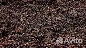 Приму бой грунт